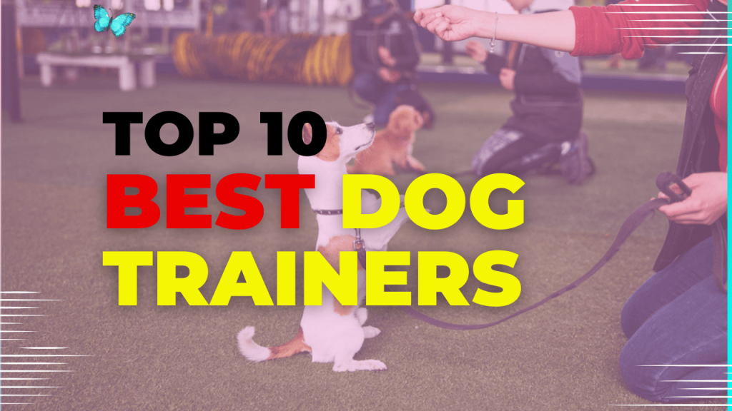 Top 10 Best Dog Trainers of Kentucky